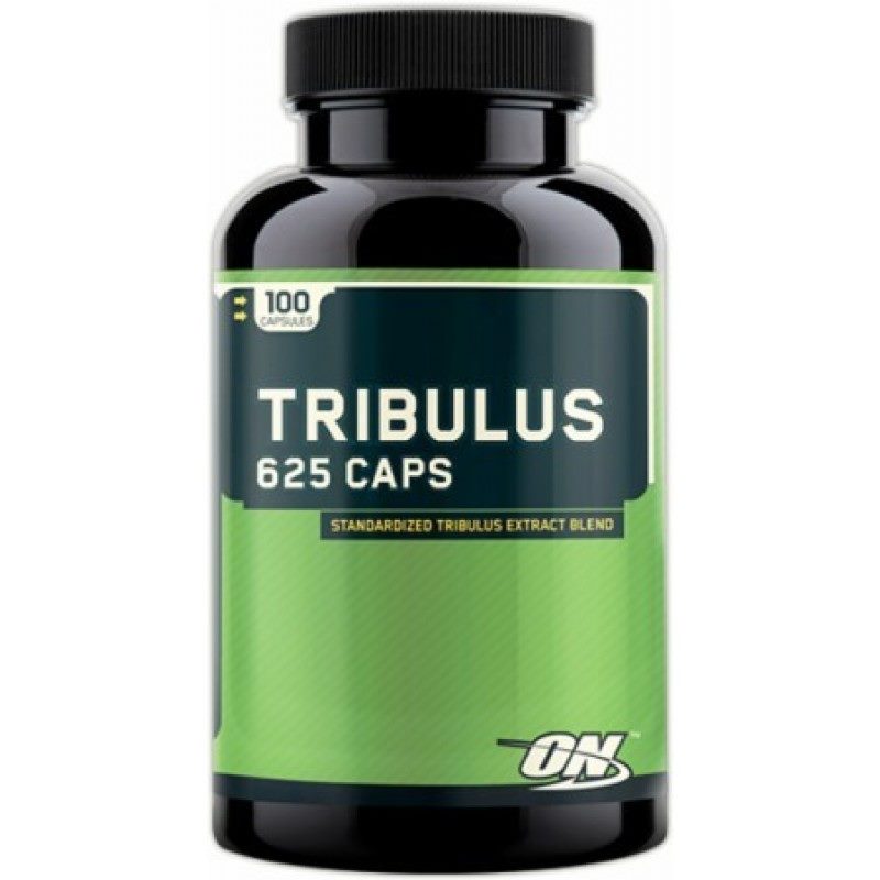 tribulus terrestris