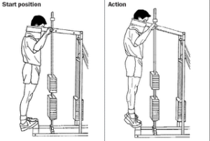 Exercícios: Pernas | Planeta do Corpo