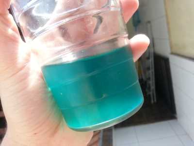Relato Formula 1 Dynamic Formulas dose