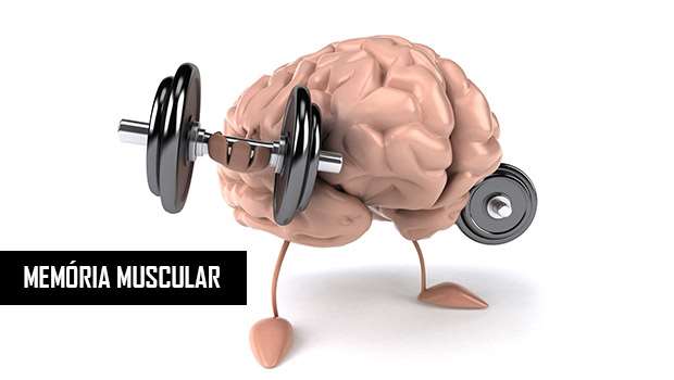 memoria muscular memoria muscular