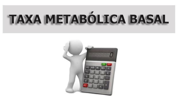 O Que é Taxa Metabólica Basal? | Planeta Do Corpo